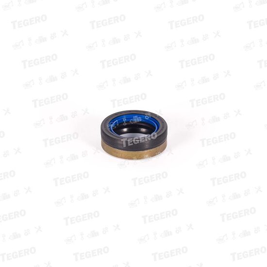Semering planetar axa OEM