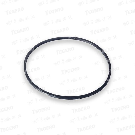 Garnitura piston frana