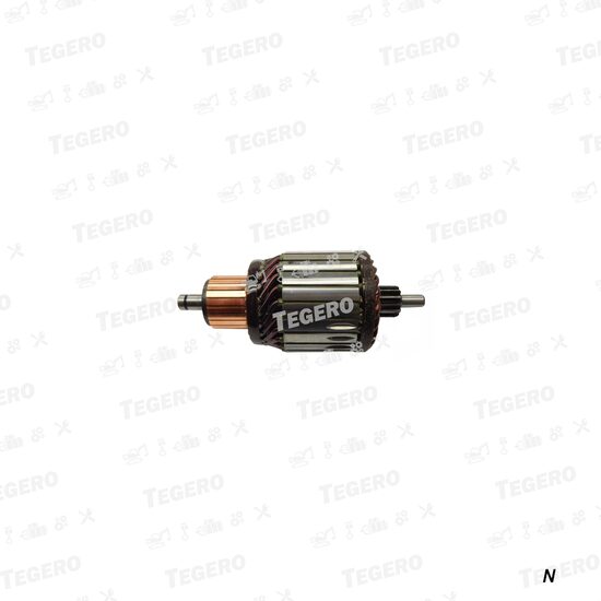 Rotor electromotor