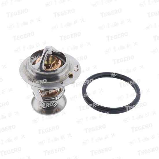 Termostat