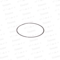 Inel compensare 0.2mm ORIGINAL DEUTZ